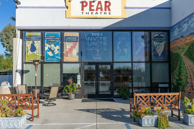 Pear Theatre 20th Season Launch Party