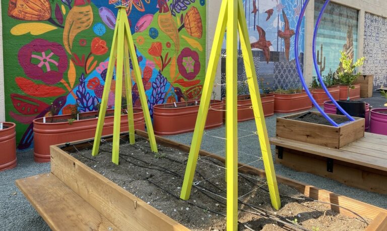 fEAST on First at Pocket Park