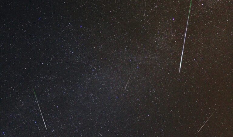 Queer Shorts Under the Stars