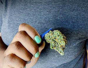 best of silicon valley 2021 cannabis