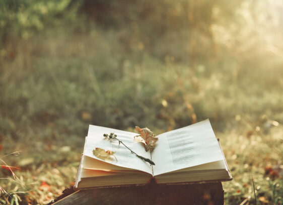 Santa Clara County Youth Poet Laureate