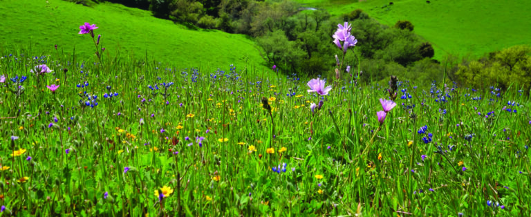 Santa Clara County Scales Back Sargent Mine Project