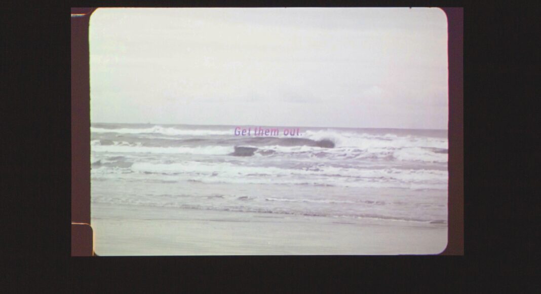 Sunflower Siege Engine