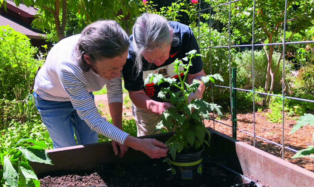 Photo Credit: Erin Malsbury