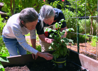 Photo Credit: Erin Malsbury