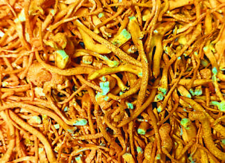 MycoSci