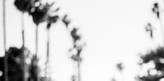 San Jose, music, events, Silicon Valley, things to do, local events, events near me, metroactive, live event, live music, live show