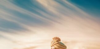 San Jose, Silicon Valley, local, news, events, things to do, things to do near me, events near me