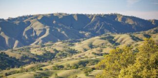 news, local news, events, community, Silicon Valley, San Jose