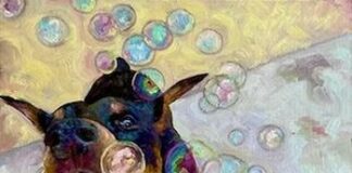 San Jose, Shoreline Amphitheatre, music, events, Silicon Valley, things to do, art, local events, events near me, metroactive, live event, live music, live show