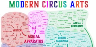 Circus, circus arts, aerial, aerial arts, flow arts