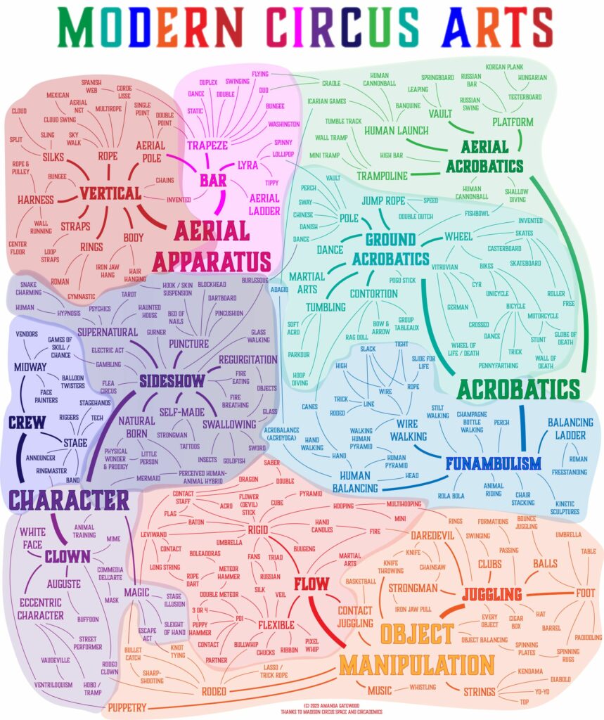 Circus, circus arts, aerial, aerial arts, flow arts