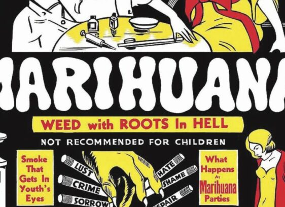 weed, pot, chonic, cannabis, teenagers, marijuana