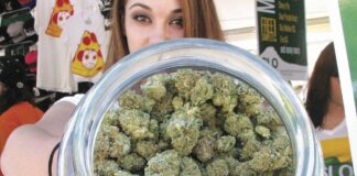 pot, alcohol, cannabis, liquor, weed, industry, business