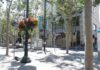Retail vacancy, businesses, business, restaurants, downtown san jose, occupants, tennents, return to work, in person, lunch