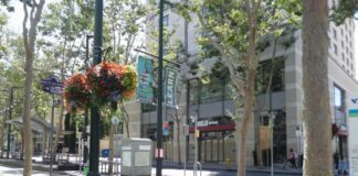 Retail vacancy, businesses, business, restaurants, downtown san jose, occupants, tennents, return to work, in person, lunch