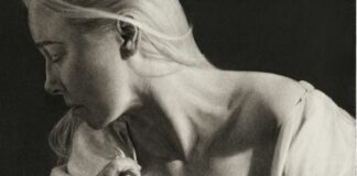 disarmed, julie grantz, triton museum, san jose, art