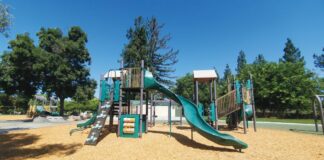 Lone Hill Park, vineyards, 1880s, Like Modern Edens, SJSU Library, Winegrowing in Santa Clara Valley and Santa Cruz Mountains 1798-1981, Charles L. Sullivan, David M. Harwood, Los Gatos