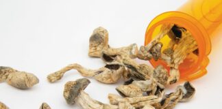 Newsom, mushrooms, psilocybin, legalization, California, SB-58