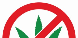 dispenseries, cannabis, pot, California