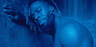 Sage The Gemini in Sunnyvale