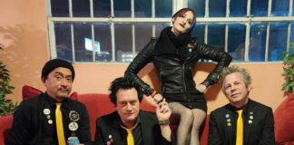 The Vaxxines in San Jose