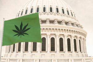 cannabis legalization, Ohio, election year, chronic