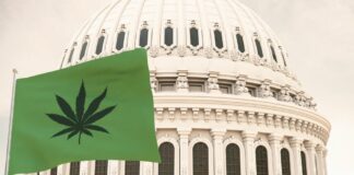 cannabis legalization, Ohio, election year, chronic
