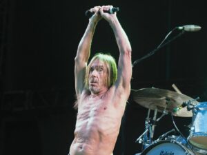 Iggy and the Stooges, San Jose, concert