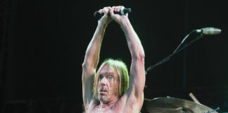 Iggy and the Stooges, San Jose, concert
