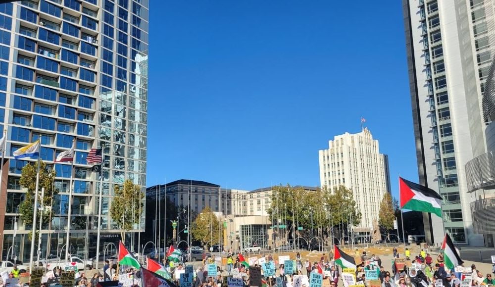 Israel and Palestine, pro-Palestine rally, Israel