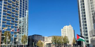 Israel and Palestine, pro-Palestine rally, Israel