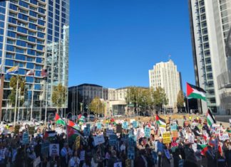 Israel and Palestine, pro-Palestine rally, Israel