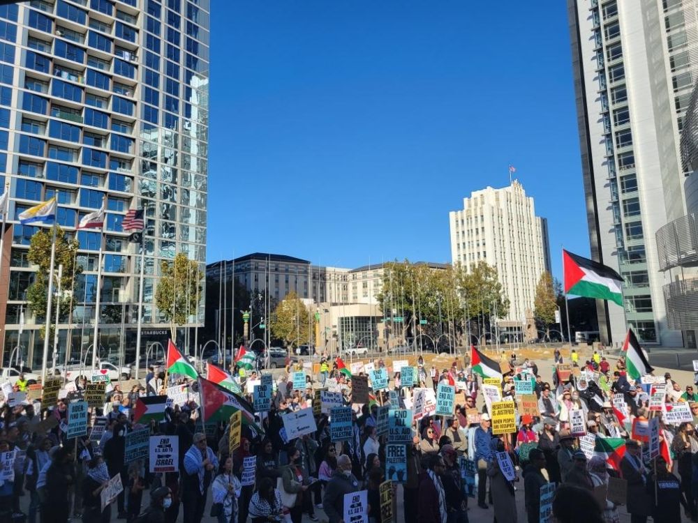 Israel and Palestine, pro-Palestine rally, Israel