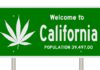 Chronic, Cannabis, California Cannabis Industry