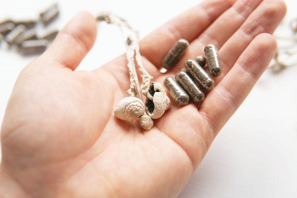 psychedelics, shrooms, chronic, cannabis