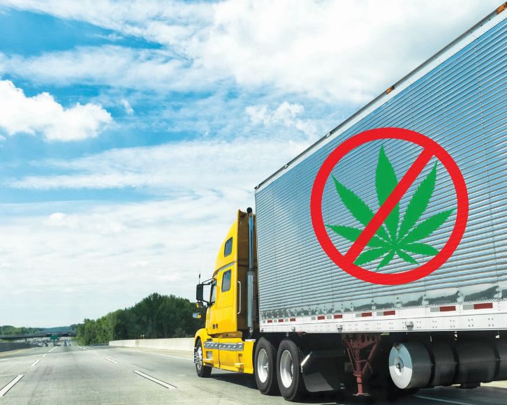 American Cannabis Industry, California Cannabis, chronic, weed