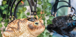 Oddities Market 2023, Winchester Mystery House, Oddities, Oddities Market