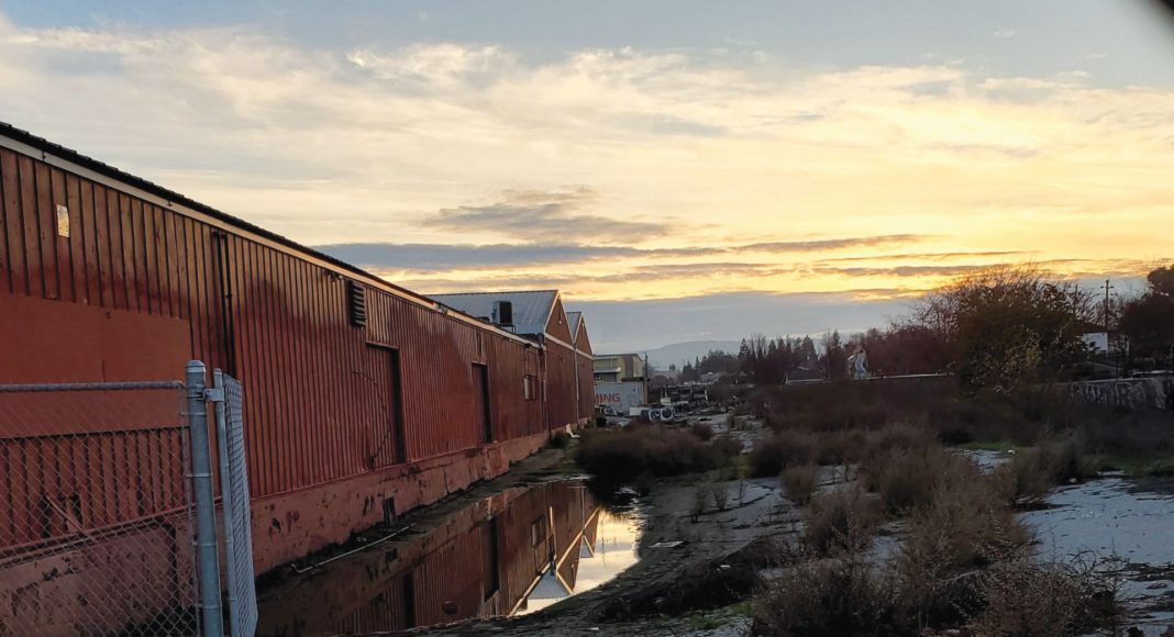 Sun Garden Packing Company, Silicon Alleys, San Jose