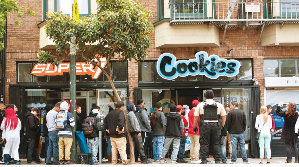 cannabis 2023, cannabis, chronic, weed, pot