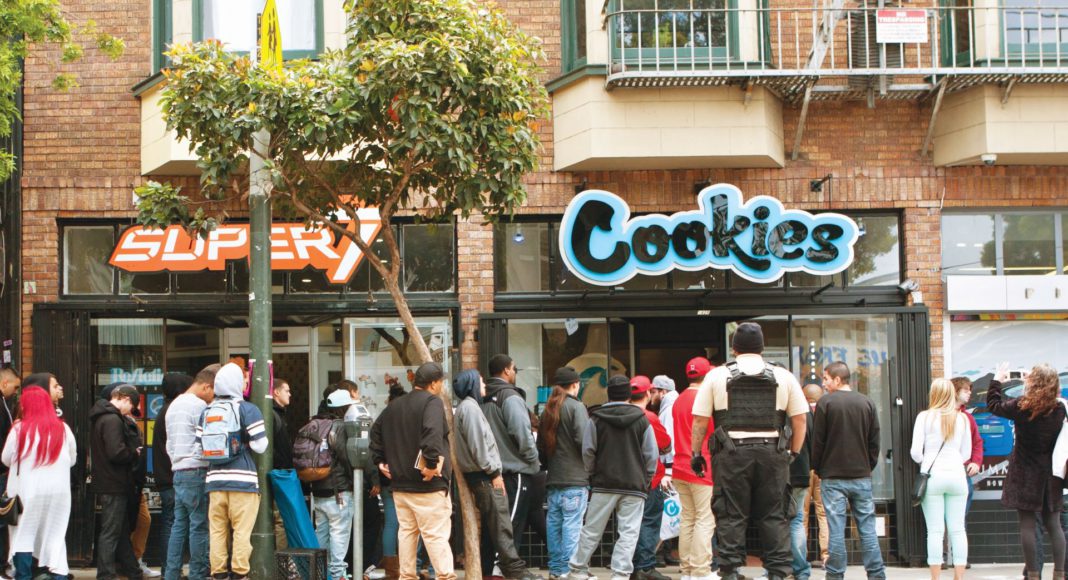 cannabis 2023, cannabis, chronic, weed, pot