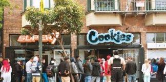 cannabis 2023, cannabis, chronic, weed, pot