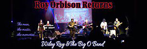 Image for display with article titled Tickets to Roy Orbison Returns