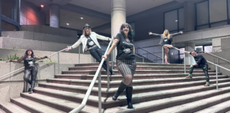 Hyperactive Kittens in San Jose