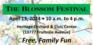Blossom Festival in Saratoga