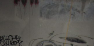 Miya Lowe in San Jose