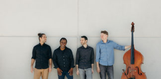 LP And The Vinyl in Saratoga