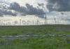 Grassy field with barb wire in foregound and windmills in the distance