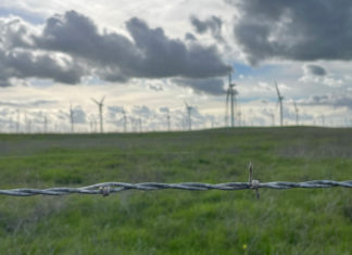 Grassy field with barb wire in foregound and windmills in the distance