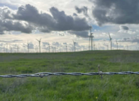 Grassy field with barb wire in foregound and windmills in the distance